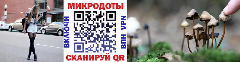 Псилоцибиновые грибы мицелий  где найти   Старый Крым 